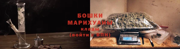 трава Снежинск
